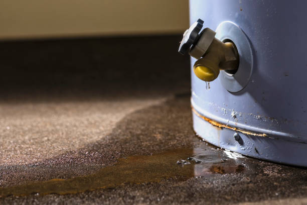 Best Water damage restoration experts  in Sweeny, TX