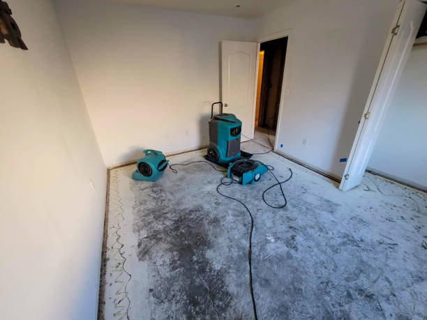 Best Mold removal after water damage  in Sweeny, TX