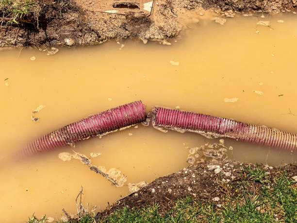 Best Residential water damage restoration  in Sweeny, TX